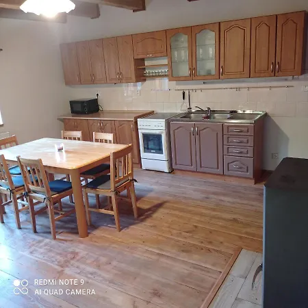 Vidlak Holiday home