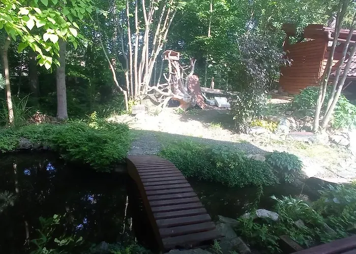 Vidlak Holiday home Cerniny